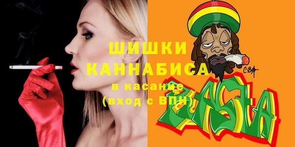 прущие грибы Балахна