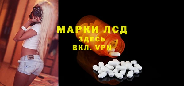 прущие грибы Балахна
