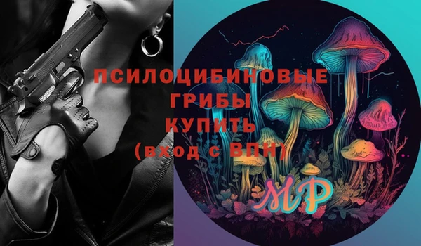 прущие грибы Балахна