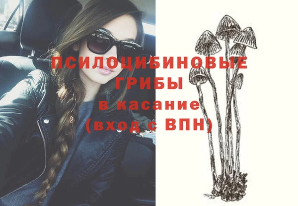 прущие грибы Балахна
