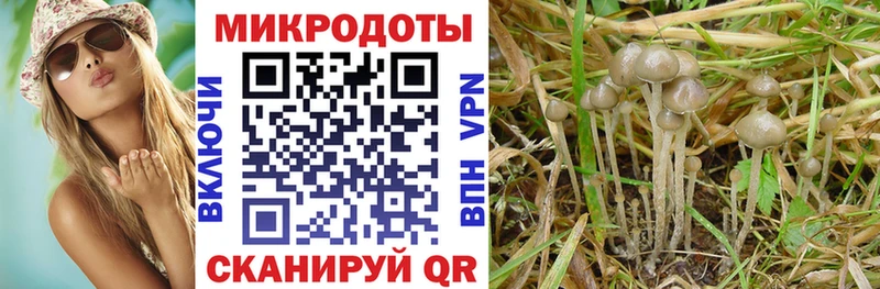 Галлюциногенные грибы Cubensis наркота Лахденпохья
